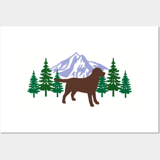 Chocolate Labrador Evergreen Posters and Art